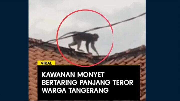 #news #berita #fyp #viral #seputarberita #indonesia