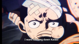 I want to bring down kaido!