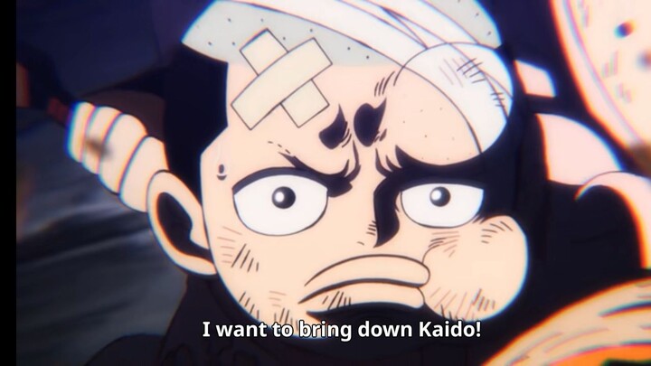 I want to bring down kaido!