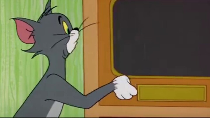 [MBTI, but cat and mouse] The adventures of INFP moving into a new dormitory