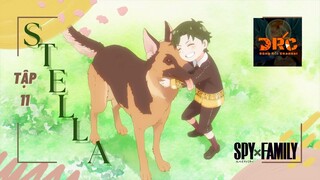 REVIEW GIA ĐÌNH ĐIỆP VIÊN TẬP 11 🤵 STELLA ! Đạt được ngôi sao đầu tiên  | Tóm Tắt SPYxFAMILY