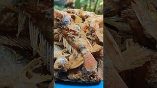 Ah Nikmat Bener.. Nasi Liwetan, Ikan Goreng Langsung Dari Kolam, masakan kampung