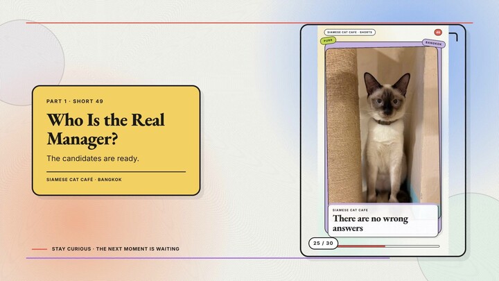 Siamese Cat Café #25 — Who Is the Real Manager? + Build Your Perfect Café Visit