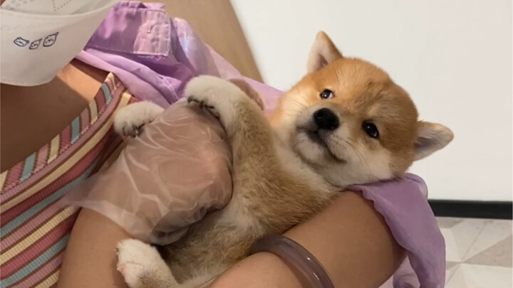 你们觉得这个工作咋样呀