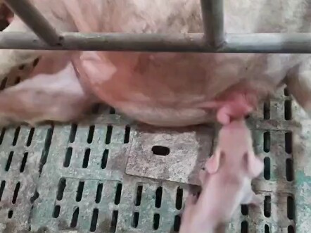 Aku kagum, kamu memang keras kepala sekali.