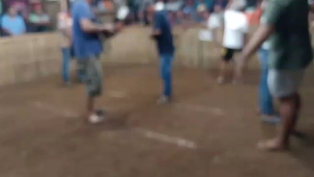 Pure melsims hatch 1x winner