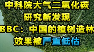 中科院新发现！BBC：中国植树造林效果被严重低估