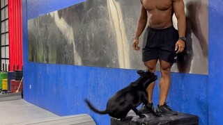 اختبار القفز