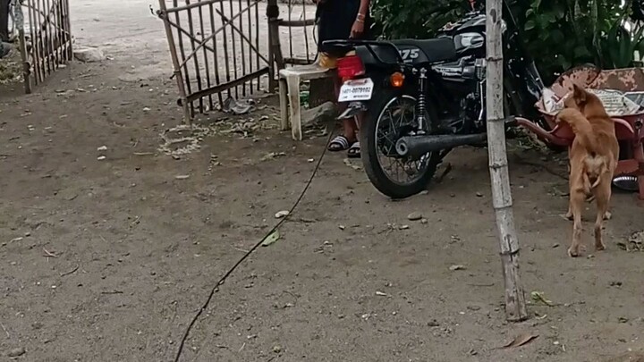 napadaan lang para maki Kain SA birthday party Ng mga bata