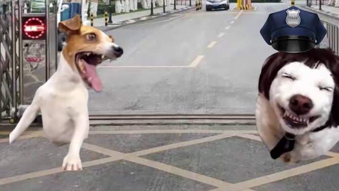 When the Director Arrests Early Leave and Meets Speed Brother