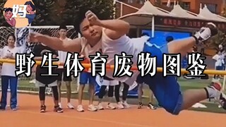 【野生人类图鉴】体育废物：你对我的特长一无所知
