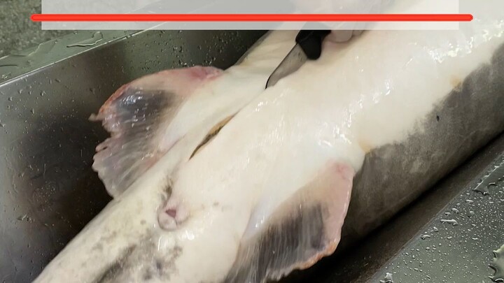 Just one spoonful won’t be too much, right?