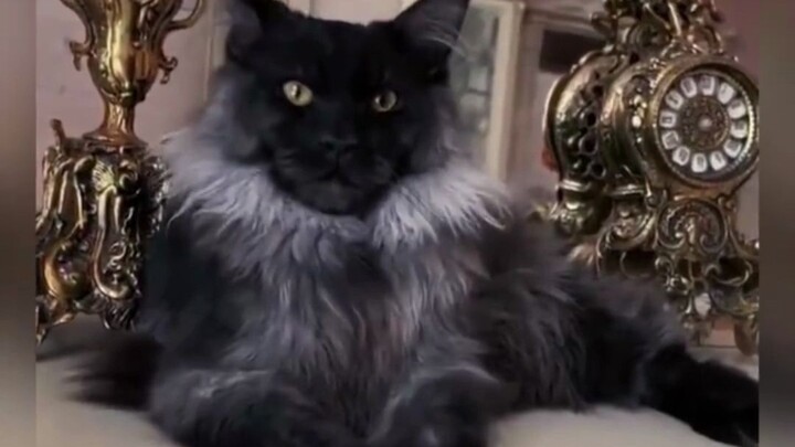 With parents whose looks add up to positive times negative, this kid looks like a complete disaster!