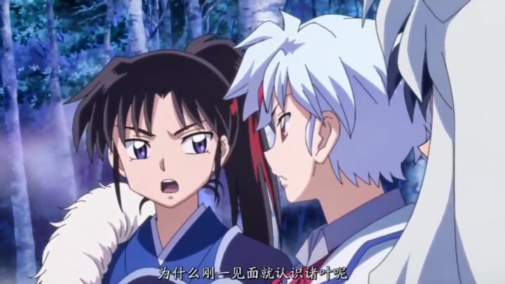 Tại sao các bạn lại có thể nhận ra ngay từ cái nhìn đầu tiên rằng Chuya chính là con gái mình?