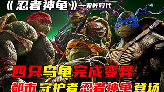 Bốn chú rùa bị nhiễm bệnh và đột biến, sau đó trở thành những người bảo vệ thành phố. "Ninja Rùa Đột