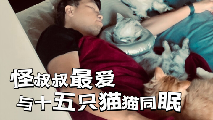 The weird uncle loves to sleep with fifteen cats