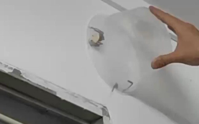 Không ngờ nhện cũng biết kêu