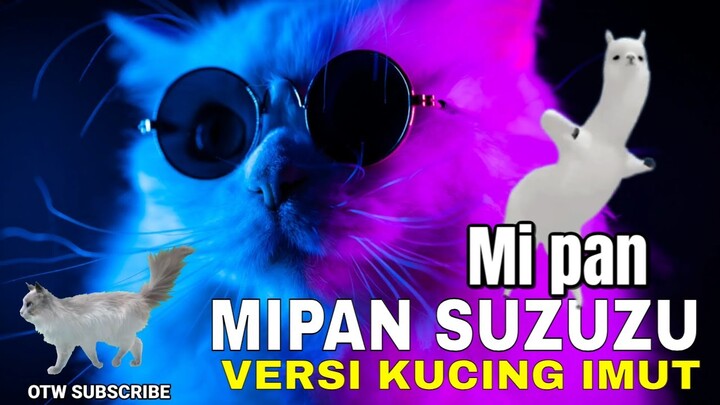 Kucing Dance  Lucu dan imut  Dengan musik DJ Remix Terbaru Keren Banget Viral