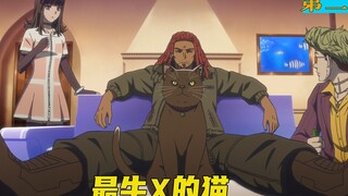 史上最牛的猫，悬赏十亿偷保险箱，这样的猫你想拥有吗？