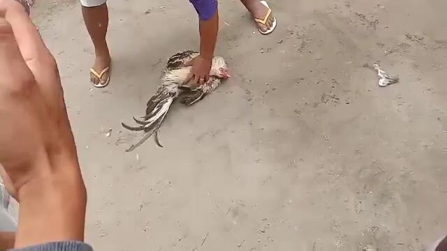 1st fight pula lang sakalam!