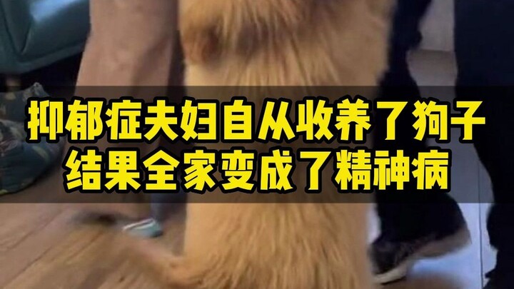 Pasangan asing menderita depresi berat; sejak mengadopsi seekor anjing liar, akhirnya seluruh keluar