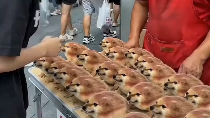 ดาบและโล่ชุดนี้ถูกสร้างโดยปัญญาประดิษฐ์ที่โง่เขลา