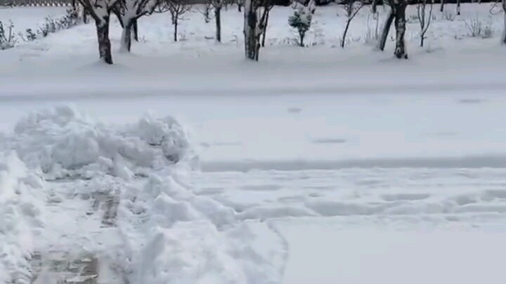 Người đàn ông vùng Đông Bắc kể về kinh nghiệm dọn tuyết, thẳng thắn cho biết từ nhỏ đến lớn lúc nào 