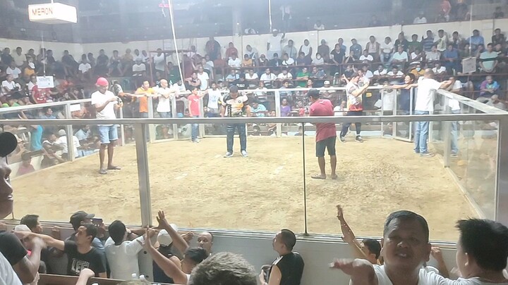 meron 600k wala. 22k 4cock derby