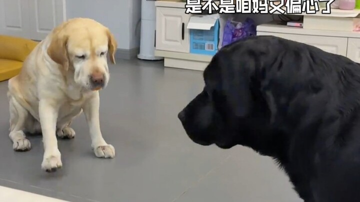 Now it’s bad—I’ve caught the tangerine fever!