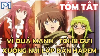 " Vì quá mạnh , tôi bị gửi xuống núi lập dàn Harem " || Phần 1 || Tóm Tắt Anime Hay || Flick Anime