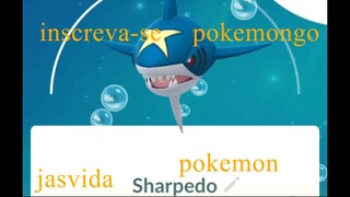 Sharpedo   Pokemon