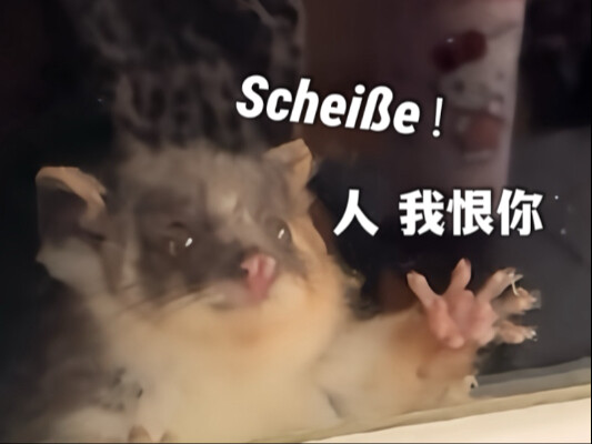 只 要 是 德 语 就 画 风 突 变