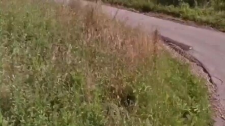 So he just jumped a tiny bit higher—big deal! What’s all the fuss about?