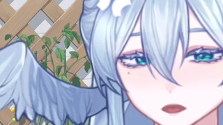 13 seconds to get to know an ear-winged angel