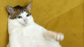 Uncle, why are you being so hypocritical!