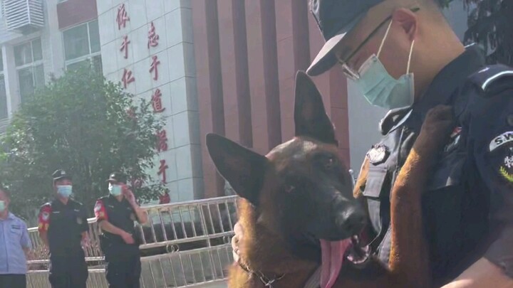 After all the test-takers safely entered the exam hall, the police dog hugged its owner and begged f