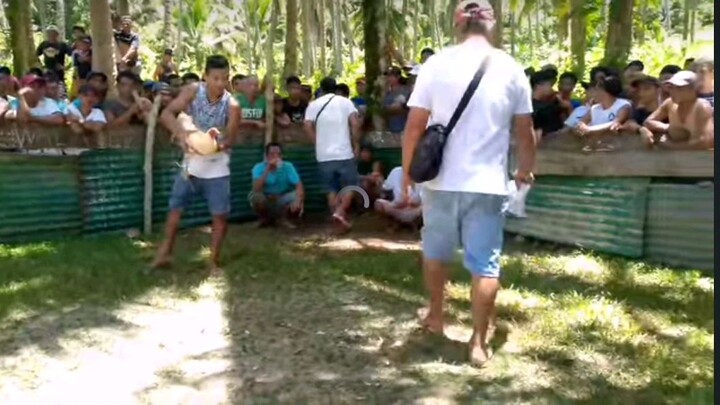 tupada fiesta burdios