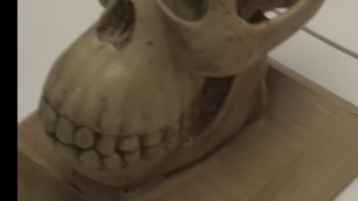 Đu đù đà đu đù đà💀👉🗿