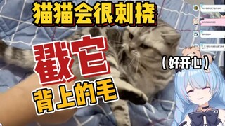 【星汐Seki】教你如何欺负小猫咪