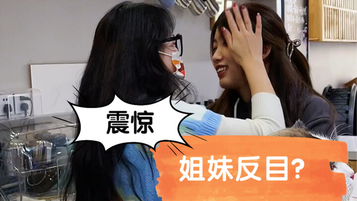 【แมวไม่สนใจ】สองลูกชายทะเลาะกัน กลับดึงแม่สองฝ่ายมาตบหน้ากันเอง?