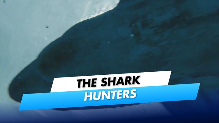 SHARK HUNTERSS