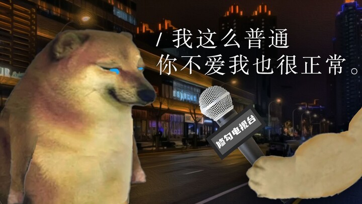 أنا عاديّ جدًا، فلا عجب إن لم تحبني.