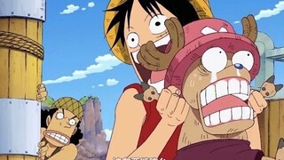 《海贼王》乔巴：我一天天防着敌人，还要防着队友！