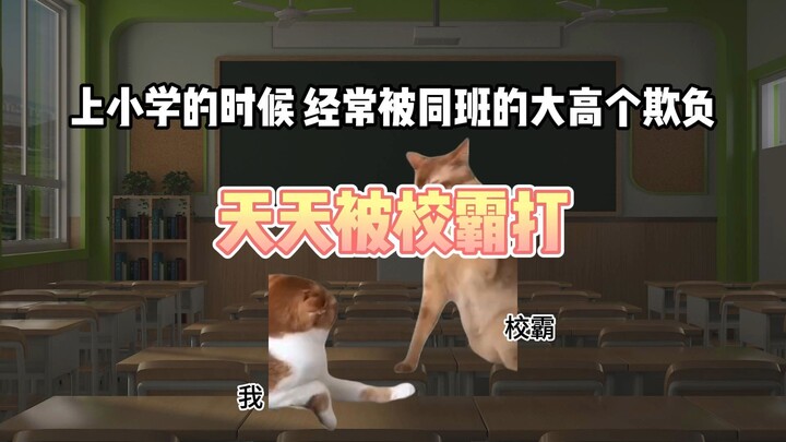 I was often bullied when I was little, and later...