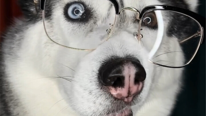 ظننت أنه شخص مهم، لكن اتضح أنه مجرد مروحة صغيرة.