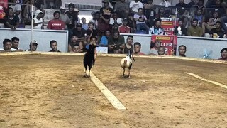 2x winner kanawayon hatch