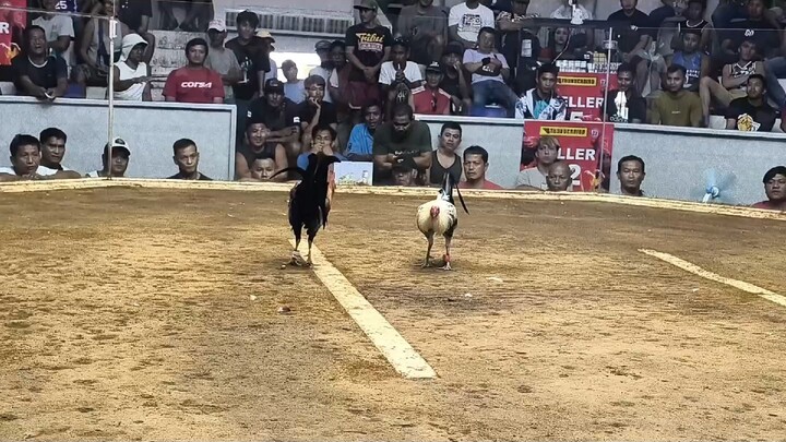 2x winner kanawayon hatch