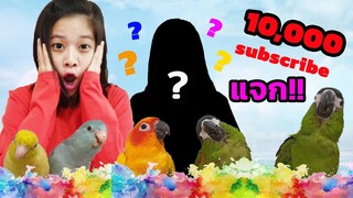 เปิดหน้าตากล้อง ฉลอง 10,000 Subscribe EP.43