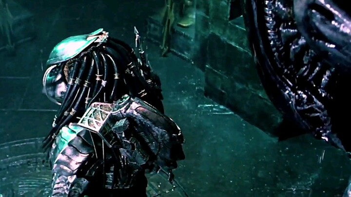 Predator: The enemy of my enemy is my friend