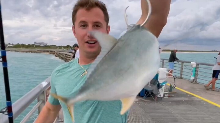 It was worth it! I used a 2kg tuna as bait and caught a fish weighing dozens of kilograms.